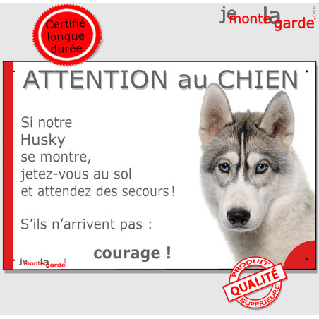 Husky Sibérien blanc et gris aux yeux bleus, plaque humour "Attention au Chien, Jetez Vous au Sol, courage" photo