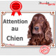 Setter Irlandais Tête, plaque portail "Attention au Chien" pancarte panneau photo affiche