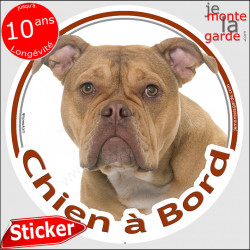 Old English Bulldog, sticker voiture "Chien à Bord" 14 cm