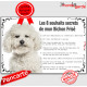 Bichon Frisé Tête, Plaque Portail "Les 8 Souhaits Secrets" pancarte, affiche panneau, commandements éducation photo