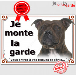 Staffie bringé tête, plaque portail "Je Monte la Garde, risques périls" panneau affiche pancarte, photo staffy zébré