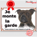Staffie bringé, plaque portail "Je Monte la Garde" 24 cm LUX