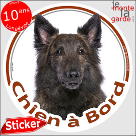 Berger Hollandais bringé poils longs Tête, sticker autocollant rond "Chien à Bord" Disque photo adhésif voiture auto vitre, rési