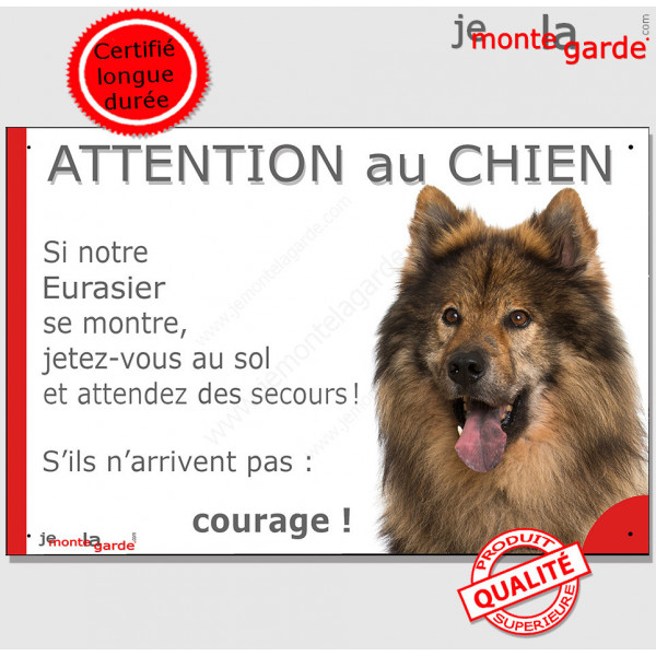 Eurasier agouti, gris-loup, plaque portail humour "Attention au Chien, Jetez Vous au Sol, secours, courage" photo bringé