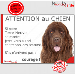 Terre Neuve bronze chocolat tête, plaque humour "Attention au Chien, Jetez Vous au Sol, secours courage" pancarte panneau photo 