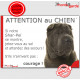 Shar-Peï marron chocolat, plaque humour "Attention au Chien, Jetez Vous au Sol, courage" pancarte panneau drôle sharpei photo