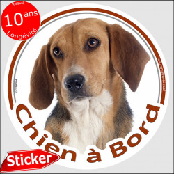 Beagle Harrier Tête, sticker autocollant rond "Chien à Bord" Disque photo sticker vitre auto voiture