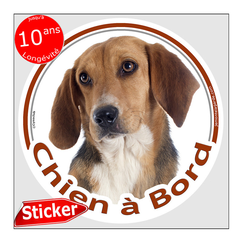 Beagle Harrier Tête, sticker autocollant rond "Chien à Bord" Disque photo sticker vitre auto voiture Beagle Harrier Tête, sticker autocollant rond "Chien à Bord" Disque photo sticker vitre auto voiture