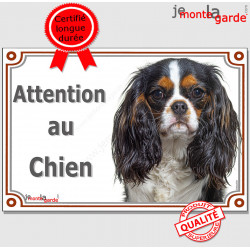 Cavalier King Charles tricolore Tête, plaque portail "Attention au Chien" pancarte panneau 3 couleurs photo