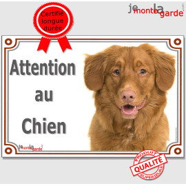 Nova Scotia Retriever ou Retriver de la Nouvelle-Ecosses, plaque portail "Attention au Chien" photo, résiste pluie soleil gel, i