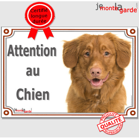 Nova Scotia Retriever ou Retriver de la Nouvelle-Ecosses, plaque portail "Attention au Chien" photo, résiste pluie soleil gel, i