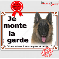 Berger Belge Tervueren tête, plaque portail "Je Monte la Garde, risques et périls" pancarte panneau photo tervuren attention
