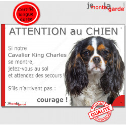Cavalier King Charles tricolore, plaque portail humour "Attention au Chien, Jetez Vous au Sol, attendez secours, courage" 