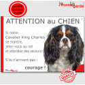 Cavalier King Charles, plaque humour "Jetez Vous au Sol, Attention au Chien" 24 cm JET