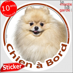 Spitz crème, sticker voiture "Chien à Bord" 14 cm