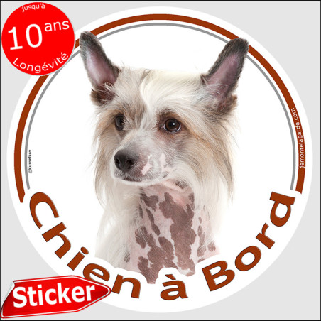 Chien Chinois à crête, sticker voiture "Chien à Bord" 15 cm Chien Chinois à crête, sticker voiture "Chien à Bord" 15 cm