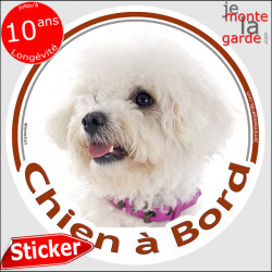 Bichon Frisé, sticker voiture "Chien à Bord" 2 tailles