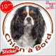 Cavalier King Charles tricolore, sticker autocollant rond "Chien à Bord" disque adhésif vitre voiture photo