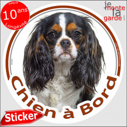 Cavalier tricolore, sticker "voiture Chien à Bord" 14 cm