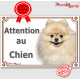 Spitz beige crème, plaque portail "Attention au Chien" pancarte panneau affiche Loulou Poméranien photo Spitz nain