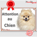 Spitz crème, plaque "Attention au Chien" 24 cm LUX