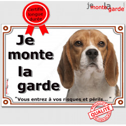 Beagle Elisabeth tricolore, plaque portail "Je Monte la Garde risques périls" pancarte panneau photo