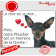 Pinscher nain noir et feu, plaque "Un chien est Membre de la Famille" photo panneau idée cadeau cadre pancarte affiche