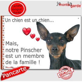 Pinscher nain noir et feu, plaque "Un chien est Membre de la Famille" photo idée cadeau cadre, résiste pluie soleil gel, idée ca