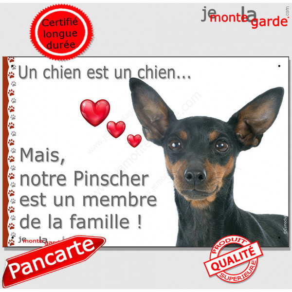 Pinscher nain noir et feu, plaque "Un chien est Membre de la Famille" photo panneau idée cadeau cadre pancarte affiche