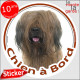 Briard fauve, sticker autocollant voiture rond "Chien à Bord" Disque adhésif Berger de Brie marron photo