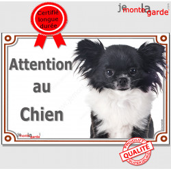 Chihuahua noir et blanc à poils longs, plaque portail "Attention au Chien" pancarte entrée, panneau photo race