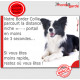 Border Collie couché, Plaque humour "parcourt distance niche portail moins 3 secondes" pancarte photo panneau marrant drôle