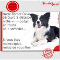 Border Collie, plaque humour "distance Niche - Portail" 24 cm