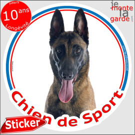 Berger Belge Malinois Tête, sticker rond "Chien de Sport" Disque autocollant adhésif photo, résiste pluie soleil gel, idée cadea