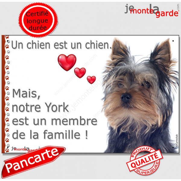 Yorkshire terrier, Plaque Portail "un chien est un membre de la famille" pancarte, affiche panneau cadre photo York