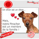 Pinscher Nain Fauve, plaque "Un chien est Membre de la Famille" photo panneau idée cadeau cadre pancarte affiche idée cadeau