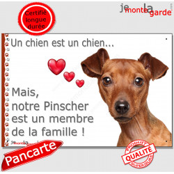 Pinscher Nain Fauve, plaque "Un chien est Membre de la Famille" photo panneau idée cadeau cadre pancarte affiche idée cadeau