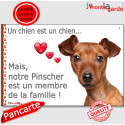 Pinscher, plaque "Membre de la Famille" 24 cm LOVE