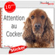 Cocker Anglais Spaniel Golden, panneau autocollant "Attention au Chien" Pancarte photo sticker adhésif marron roux