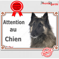 Berger Belge Tervueren, plaque portail "Attention au Chien" pancarte panneau photo