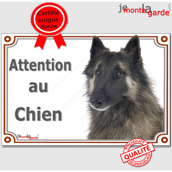 Berger Belge Tervueren, plaque portail "Attention au Chien" pancarte panneau photo