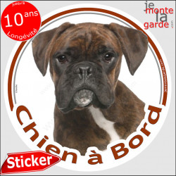 Boxer bringé, sticker voiture "Chien à Bord" 2 tailles