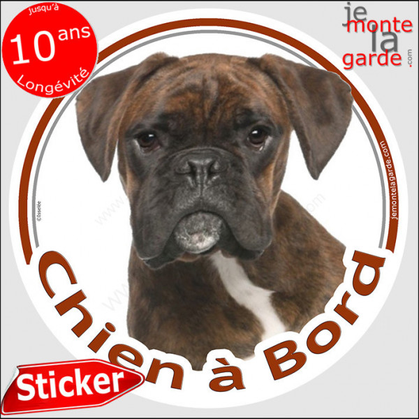 Boxer bringé marron Tête, sticker autocollant rond "Chien à Bord" Disque photo adhésif vitre voiture Boxeur bringué