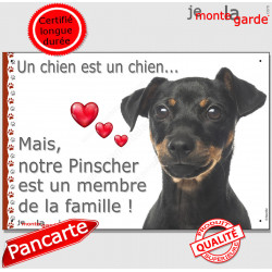 Pinscher nain noir et feu, plaque "Un chien est Membre de la Famille" photo panneau idée cadeau cadre pancarte affiche