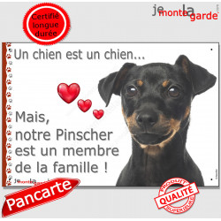 Pinscher, plaque "Membre de la Famille" 24 cm LOVE