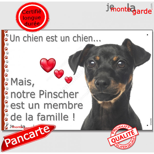 Pinscher nain noir et feu, plaque "Un chien est Membre de la Famille" photo panneau idée cadeau cadre pancarte affiche