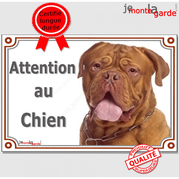 Dogue de Bordeaux fauve acajou à masque face rouge, plaque portail "Attention au Chien" pancarte panneau photo