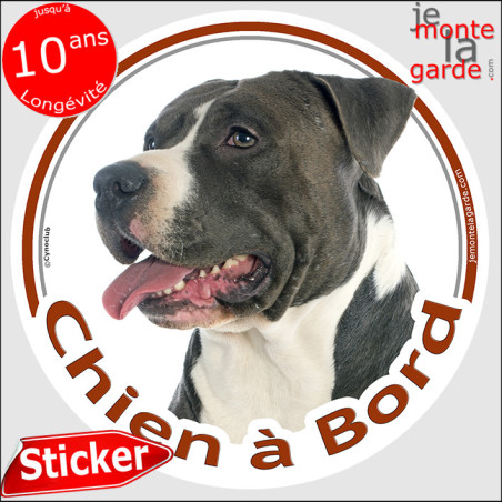 Amstaff noir, sticker voiture photo rond "Chien à Bord" résiste pluie soleil gel, idée cadeau, 2 Tailles D