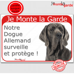 Dogue Allemand gris bleu, plaque portail rouge "Je Monte la Garde surveille protège" pancarte fluo visible photo Danois