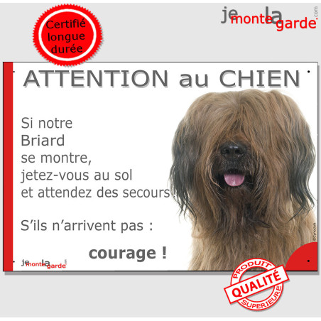 Berger de Brie fauve marron, plaque humour "Attention au Chien, Jetez Vous au Sol, secours, courage" photo Briard, résiste pluie